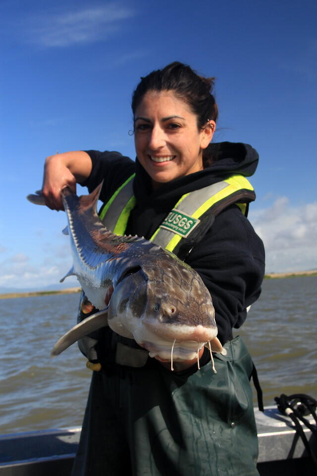 Veronica Violette (Larwood), Fish Biologist, California Water Science Center