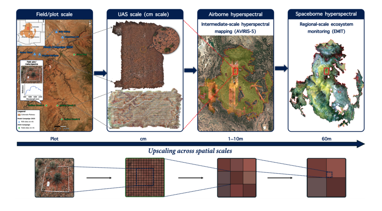 Figure illustrating upscaling workflow for different scales of data.