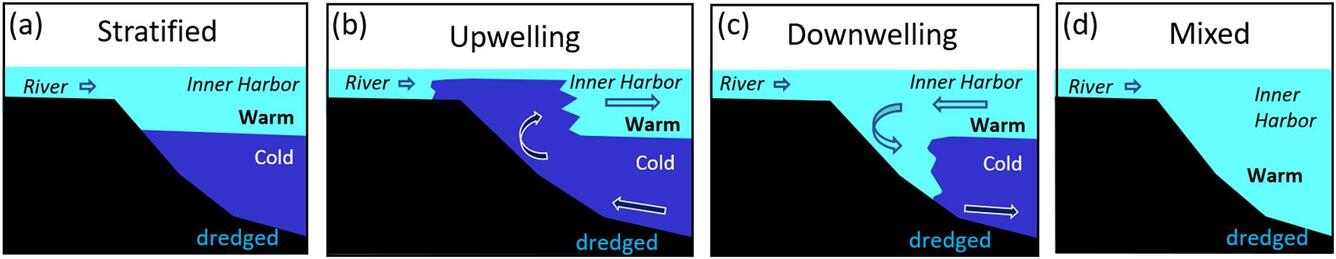 Graphic showing water temperature change from wind events in dredged shoreline of river