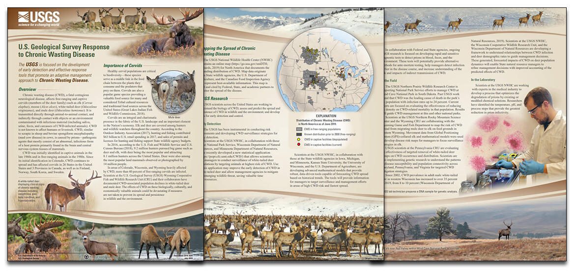 Collage of images from Fact Sheet 2019–3034