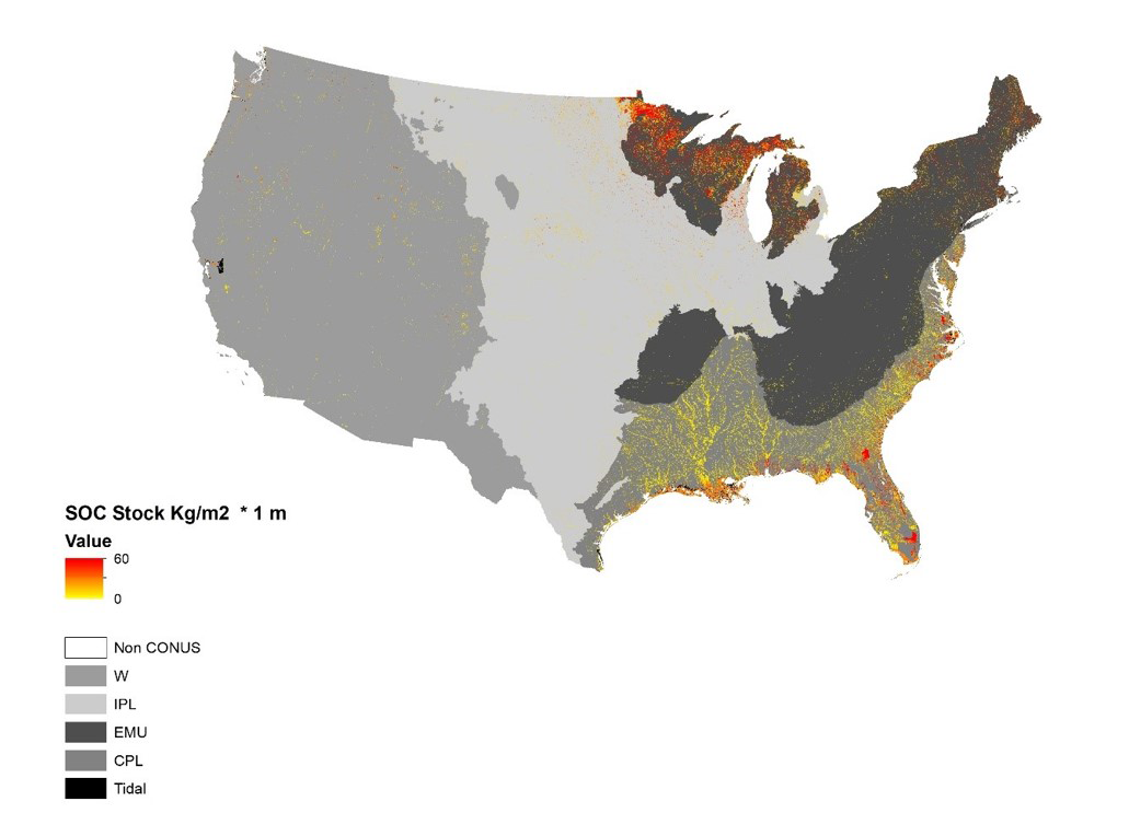Map showing carbon stored in wetland soils (SOC, soil organic carbon) across the country.