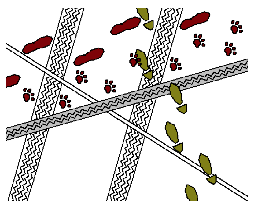 tire tracks, bicycle tracks, dog tracks and footprints cartoon