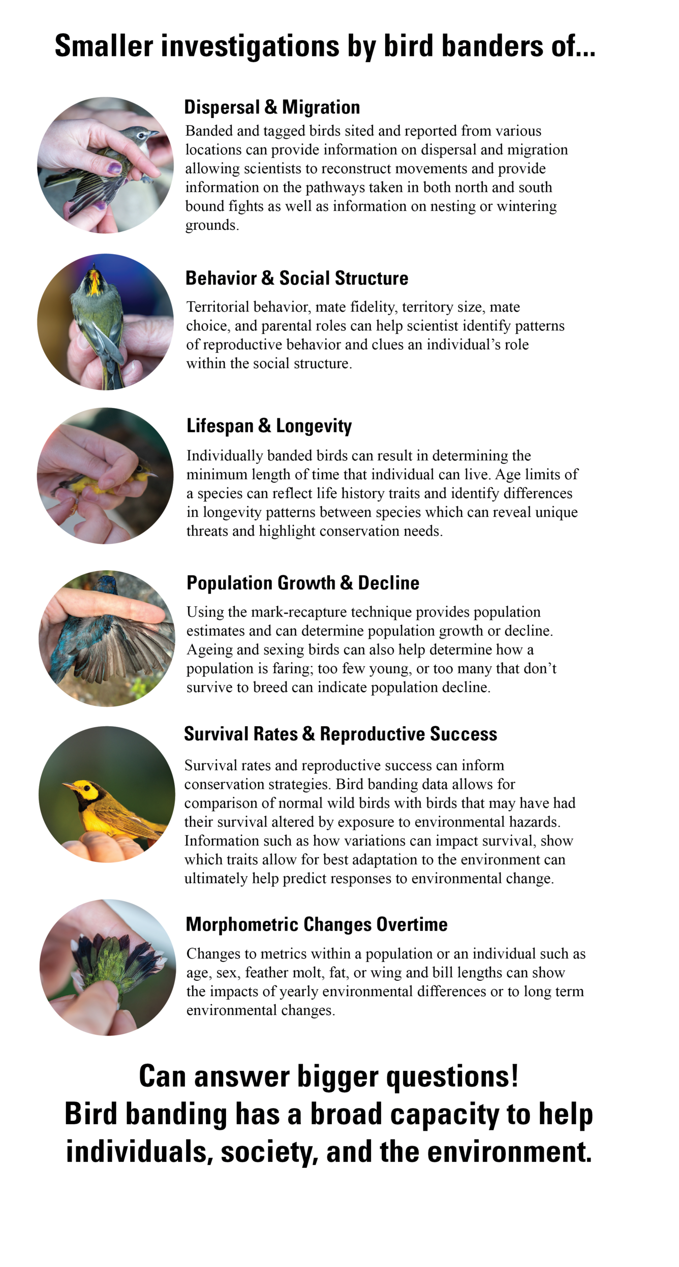 A graphic depiction of what can be learned from bird banding