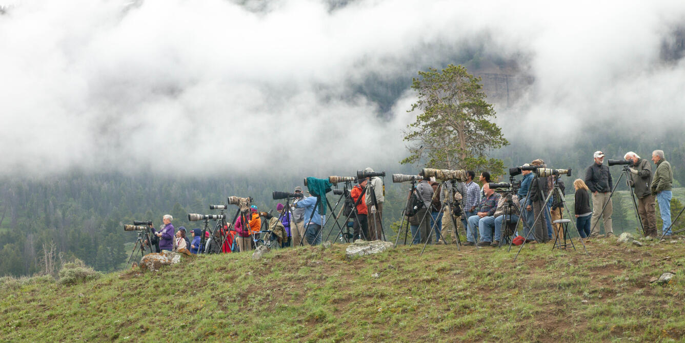 dozens of people with large telescopes line up on the top of a green hill, fog in the background