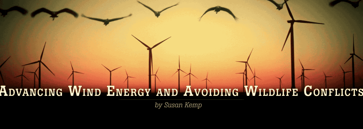 Advancing Wind Energy and Avoiding Wildlife Conflicts
