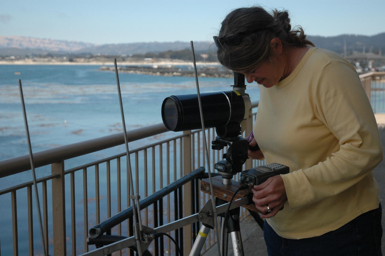 Image: Spotting Sea Otters