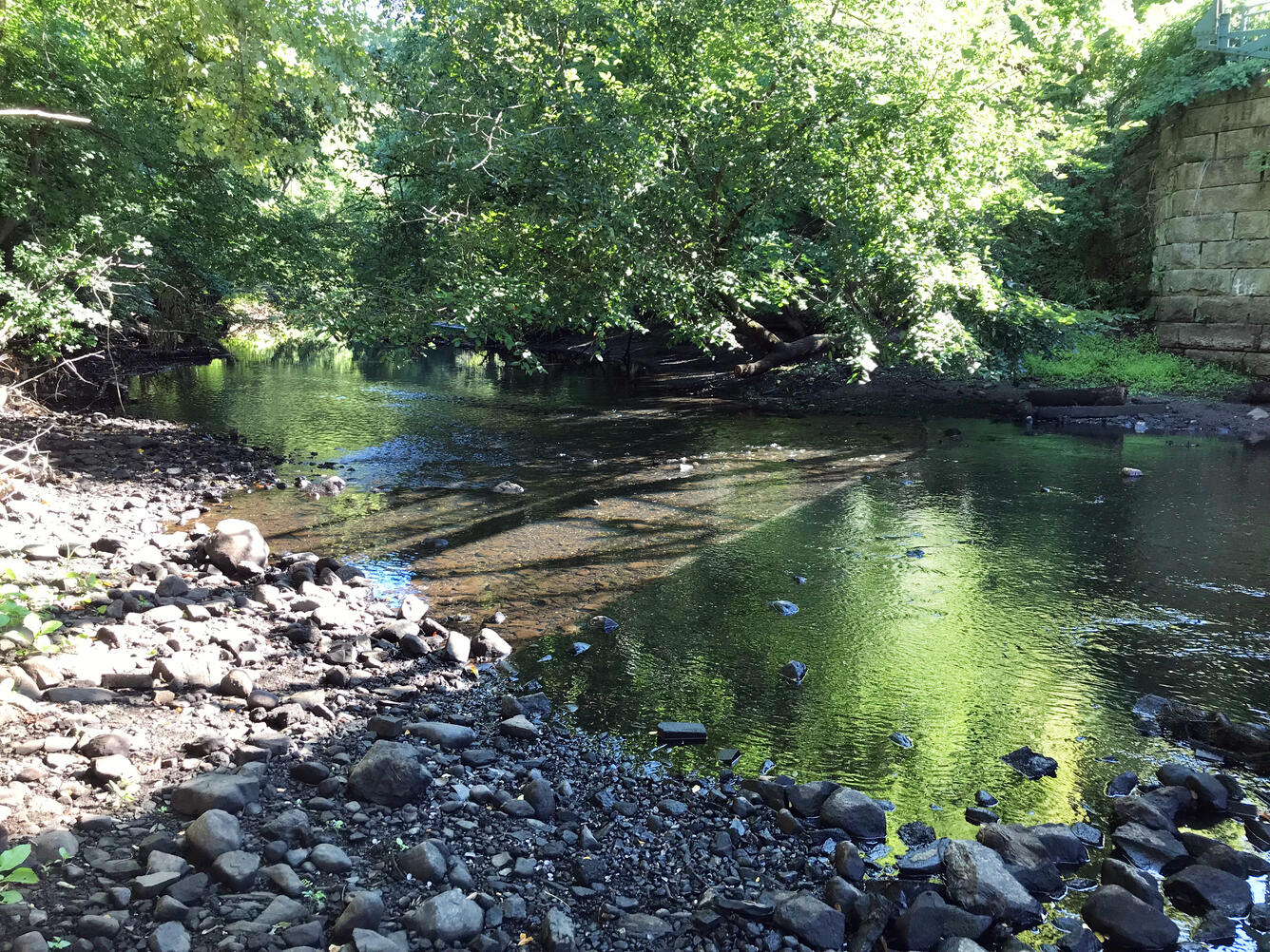 2020 drought impact on Sudbury River in Saxonville, Massachusetts