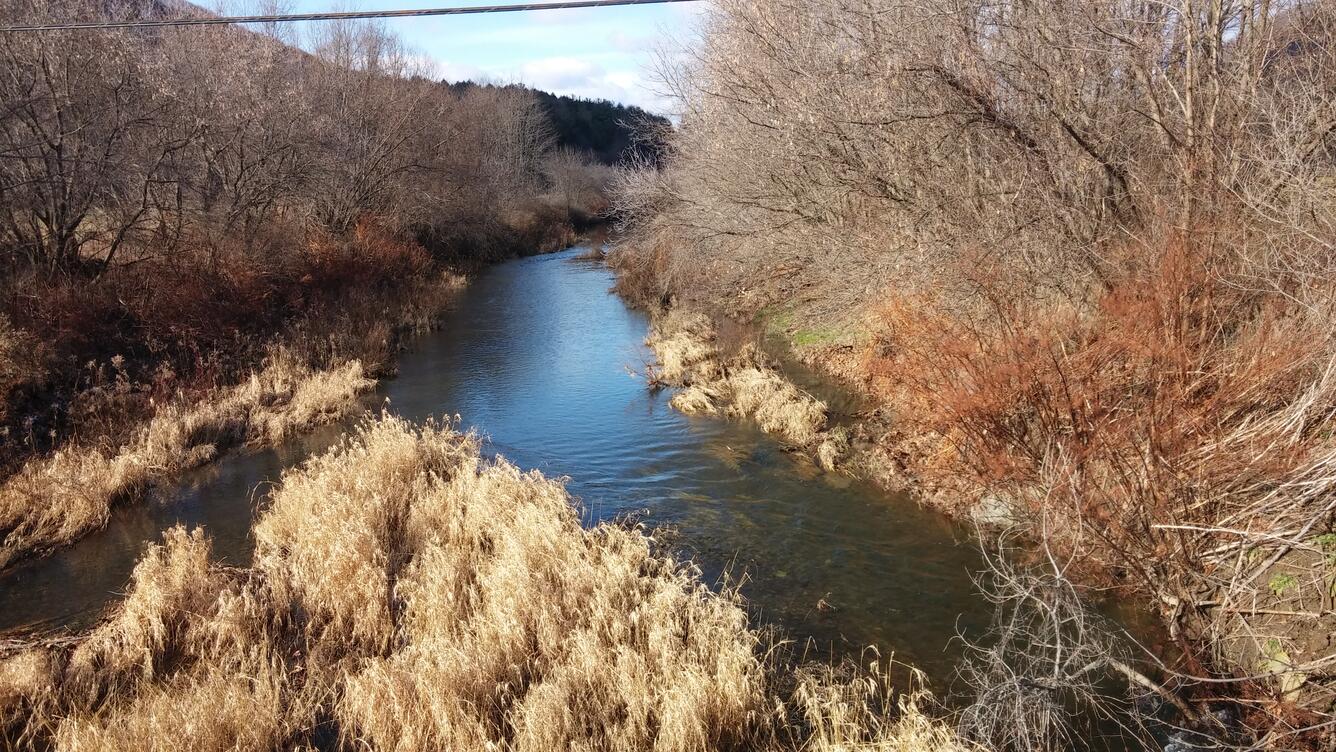 A view looking upstream on Crooked Creek. The trees are bare.  Dry grasses bend in the breeze toward the the viewer.