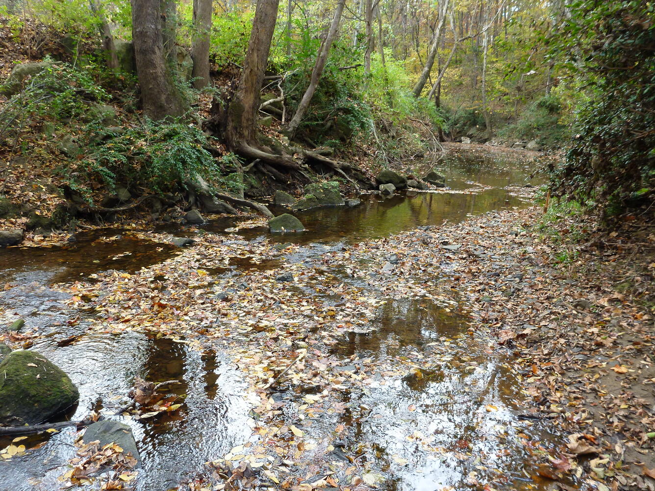 McMullen Creek, Charlotte, NC