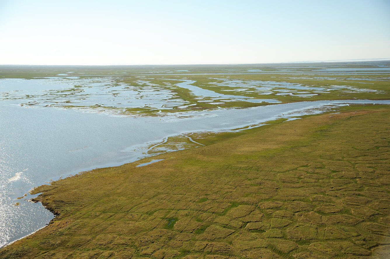 Canning River Delta, 1002 Area