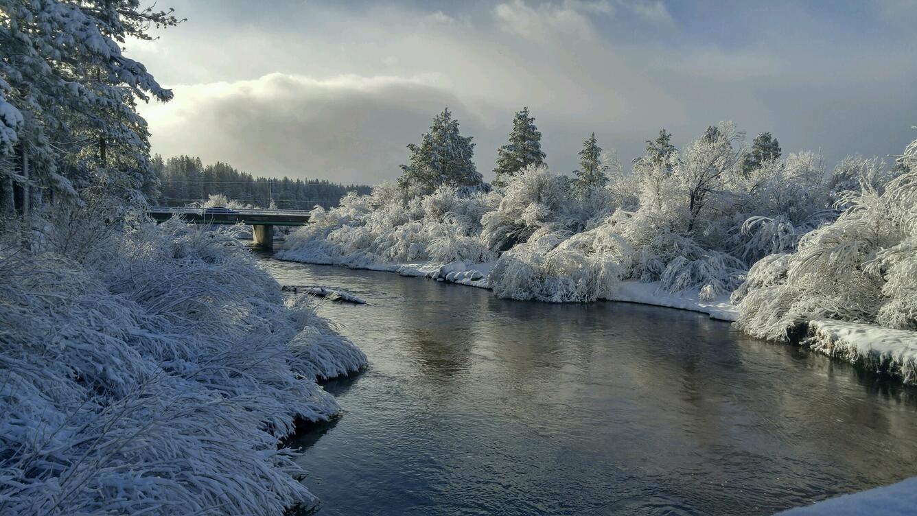 Upper Truckee River, Nevada, in winter