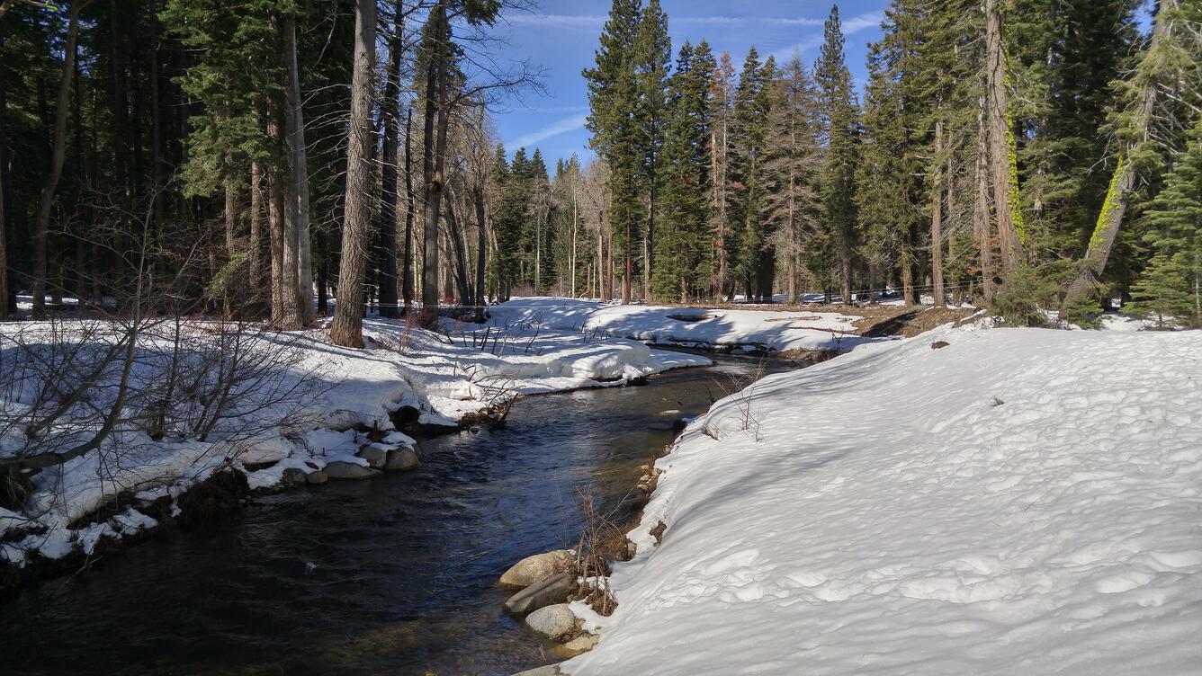 Looking upstream at Blackwood Creek, CA