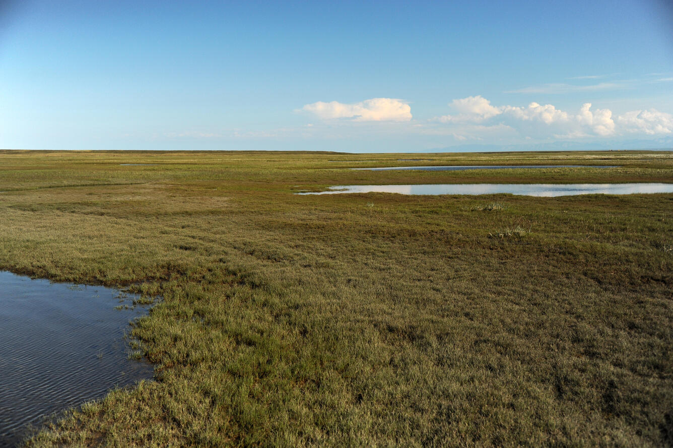 Tundra surface and lakes on Canning River Delta 