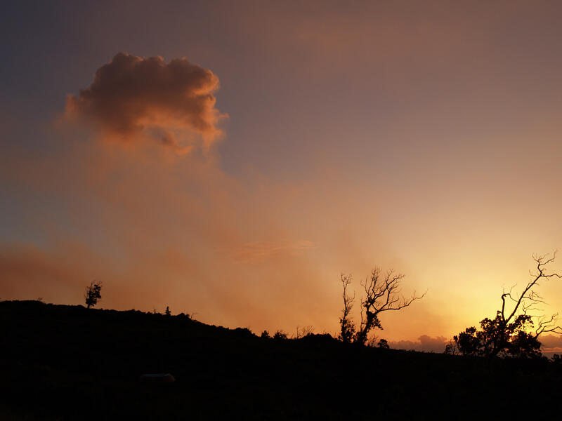 This is a photo of a rising sun, hidden by `ohi`a in lower right, lights puffs of fume.