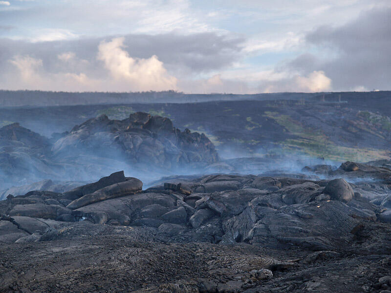 This is a photo of blue fume rising from Banana tube on coastal flat.