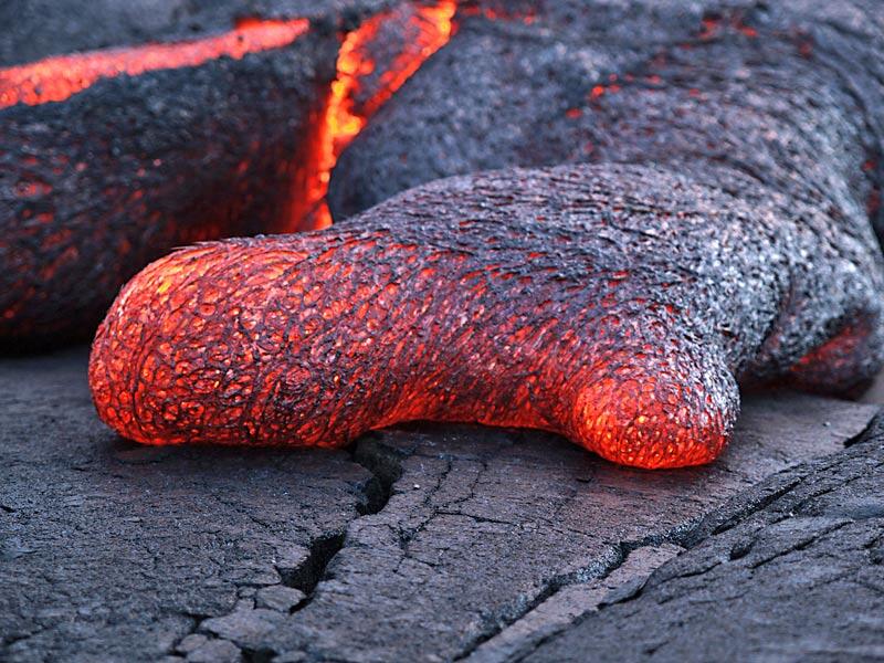 This is a photo of crust completely enveloping the toe.