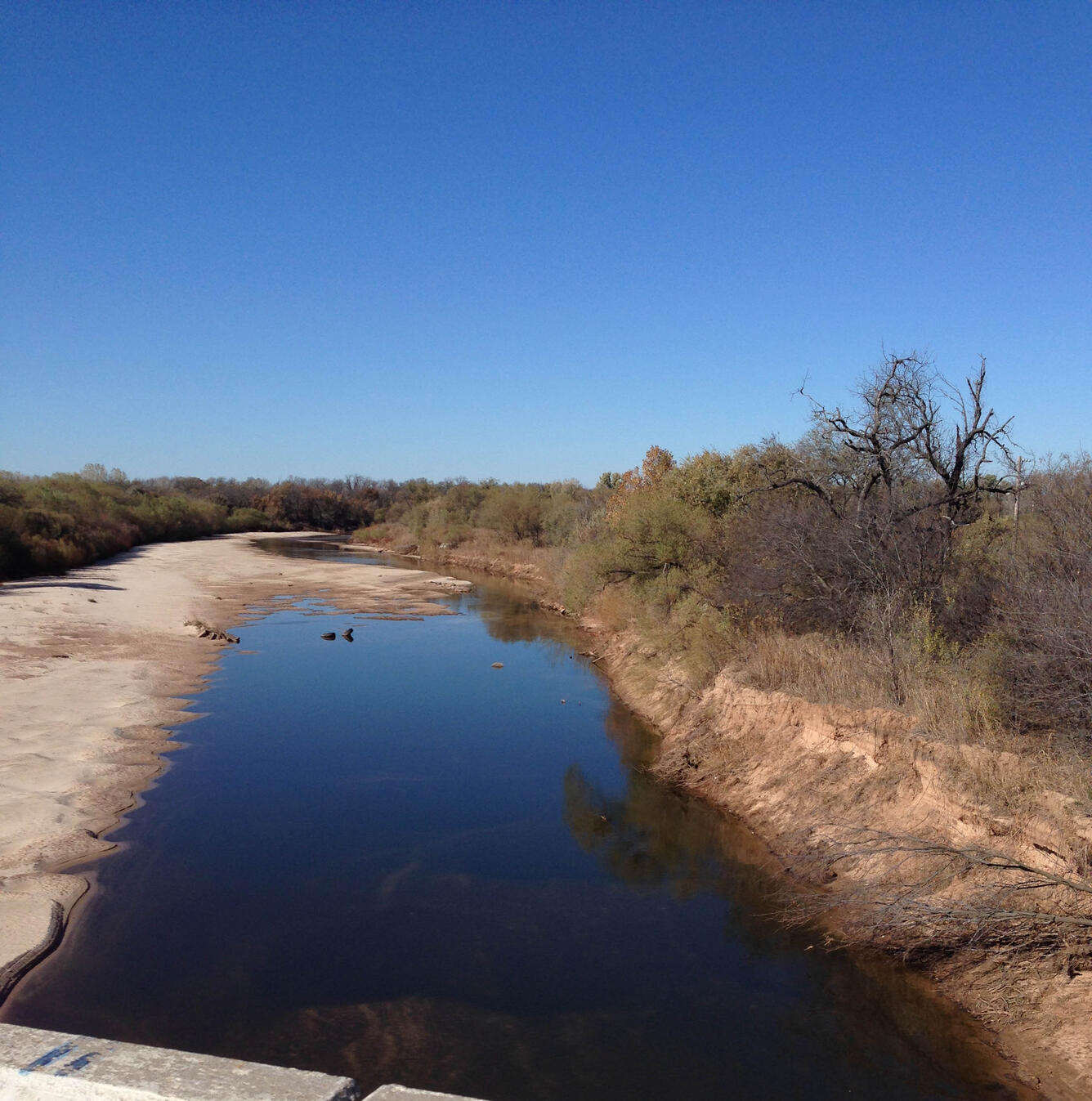 Wide dark blue river with a flat sandy bank on the left and a raised bank with mixed vegetation on the right