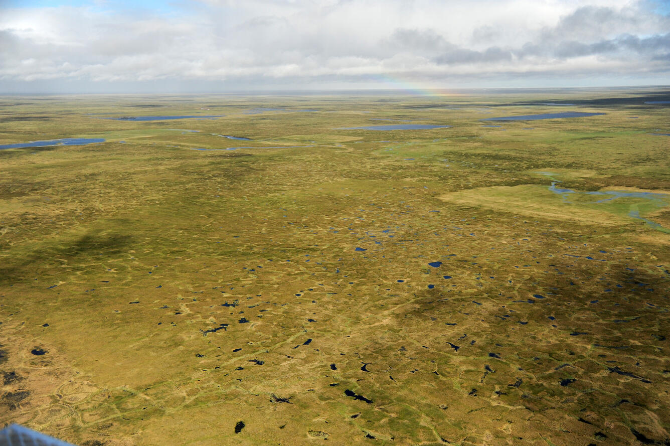 Camden Bay, west-central ANWR-1002 Area 
