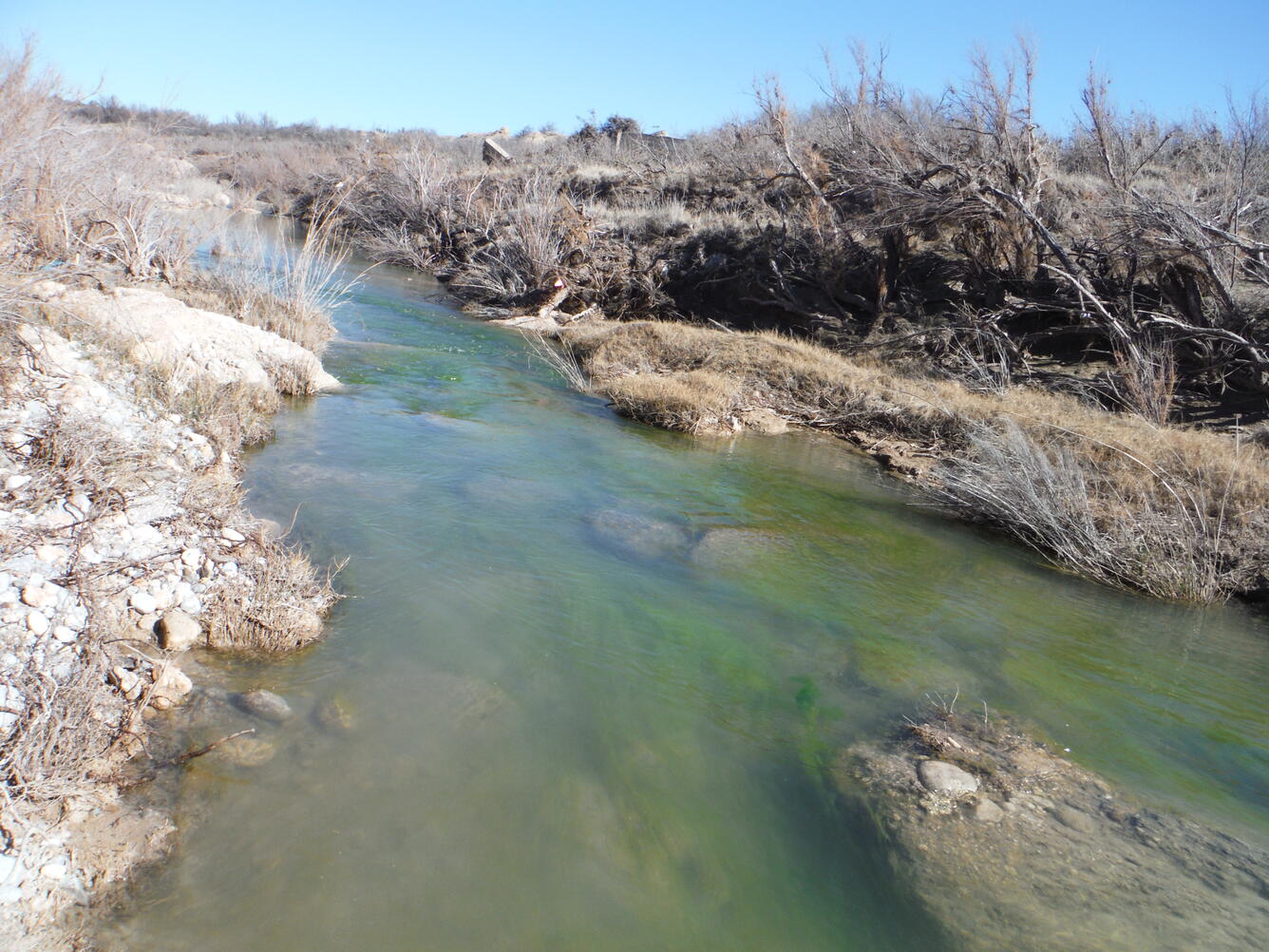 Pecos River near Malaga