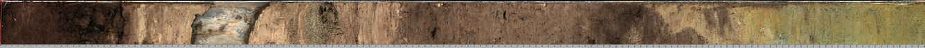 Line-scan image of a sediment core. Layers of different colored sediments are clearly visible.