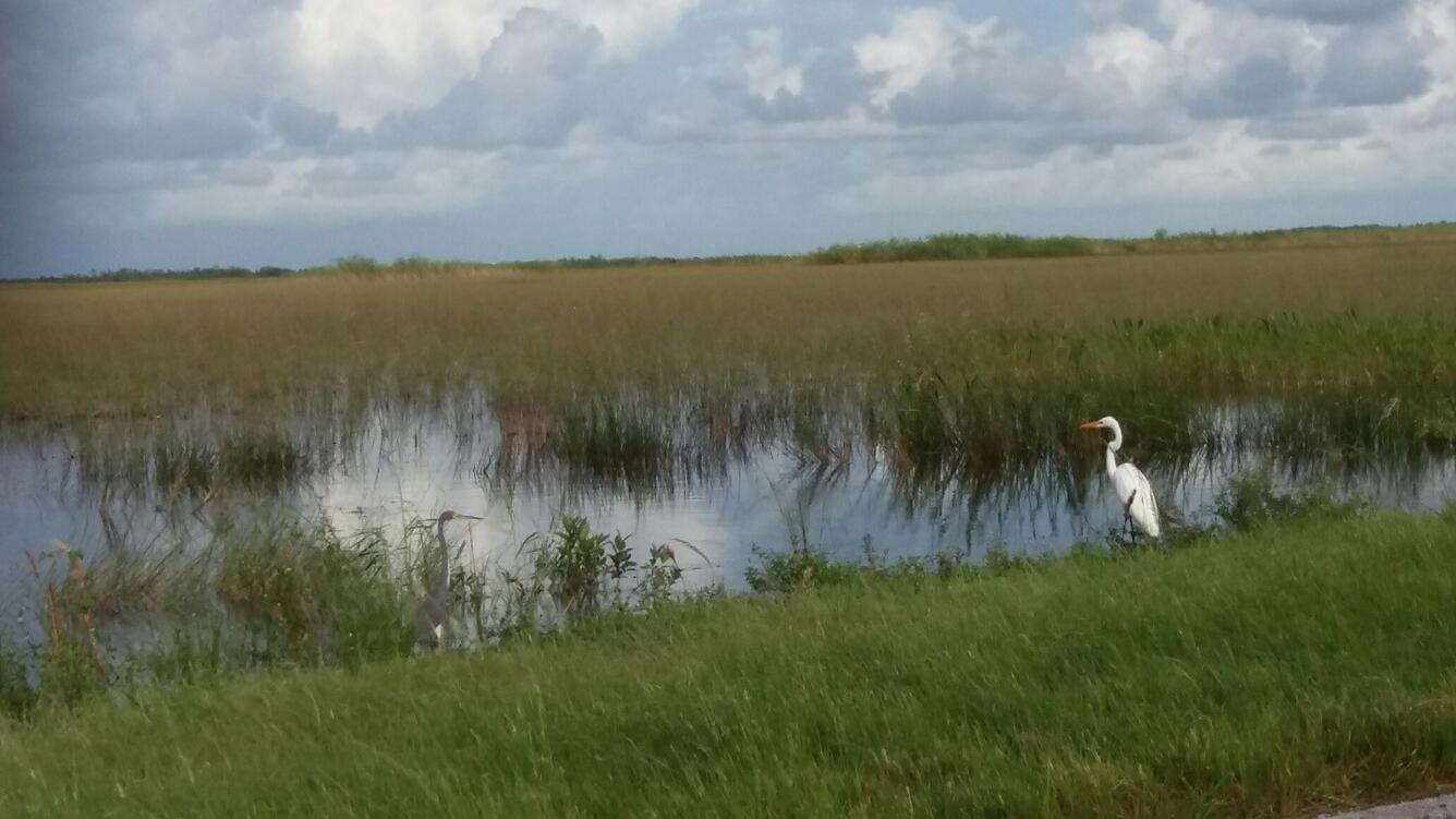 Everglades National Park
