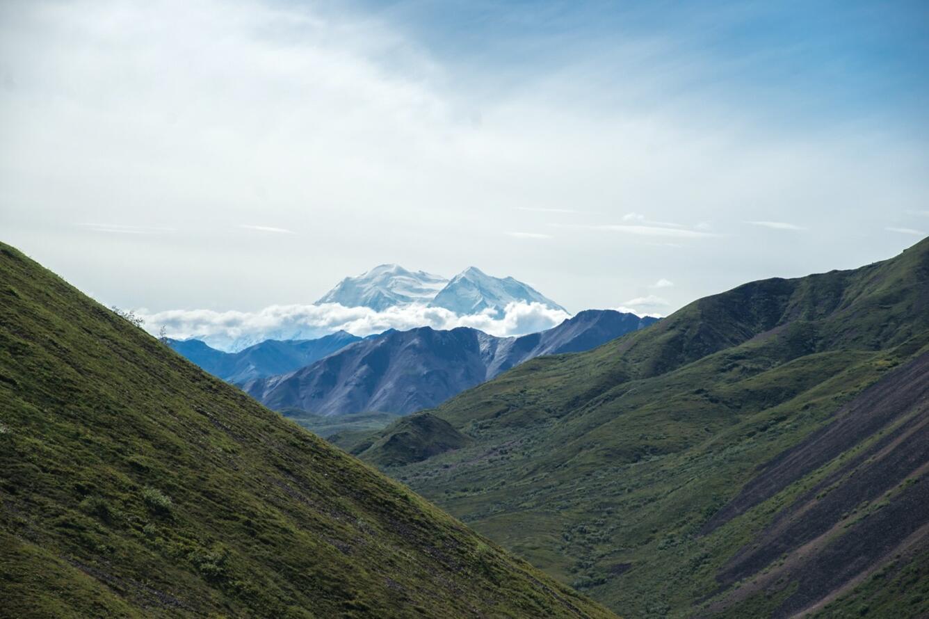 Mountain View, Denali National Park