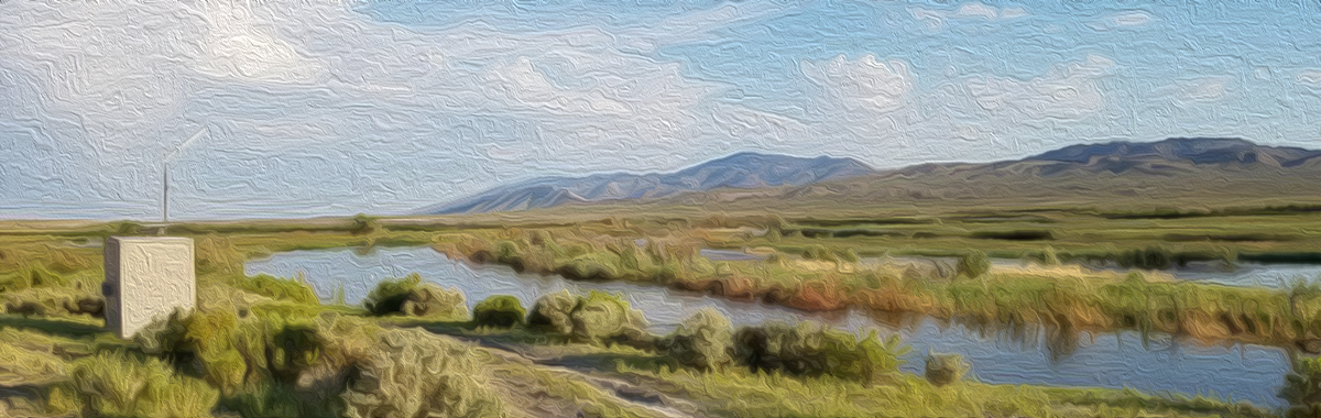 Stylized photo of USGS Gaging Station 10301600 Walker River, Nev.