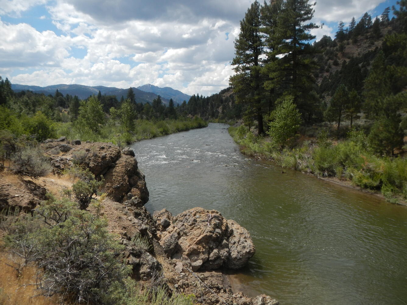 East Fork Carson River near Markleeville, Calif.