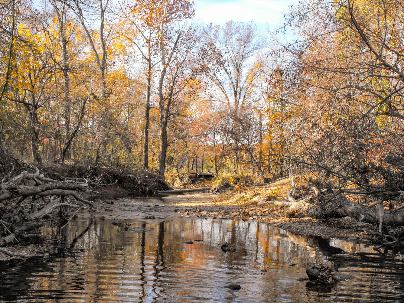 Accotink Creek near Annandale, VA
