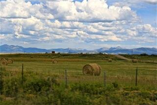 An agricultural landscape on the Front Range of Colorado. Photo by Katie Walters, USGS.