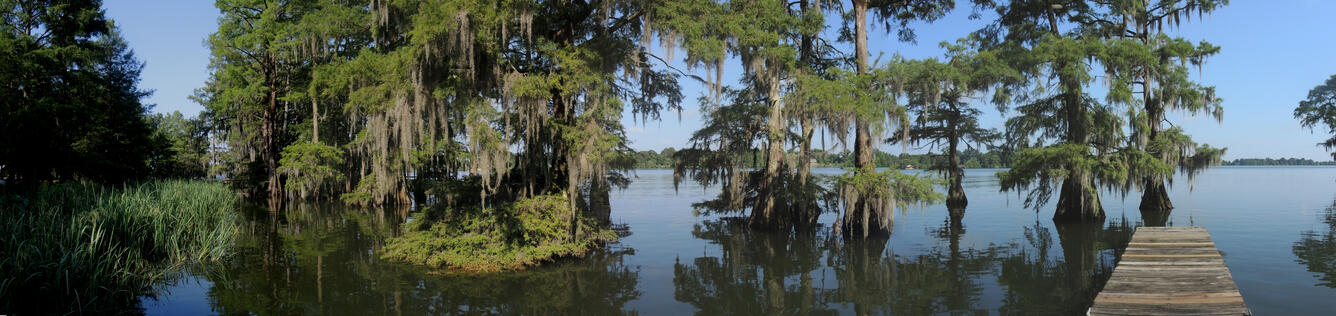 Lake Bruin, Louisiana June 2015