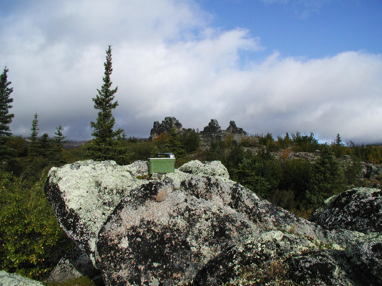 Scintillometer sitting on top of a rock outcropping surrounded by trees