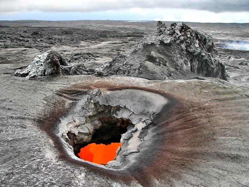 This is a photo of petunia skylight in roof of PKK lava tube.