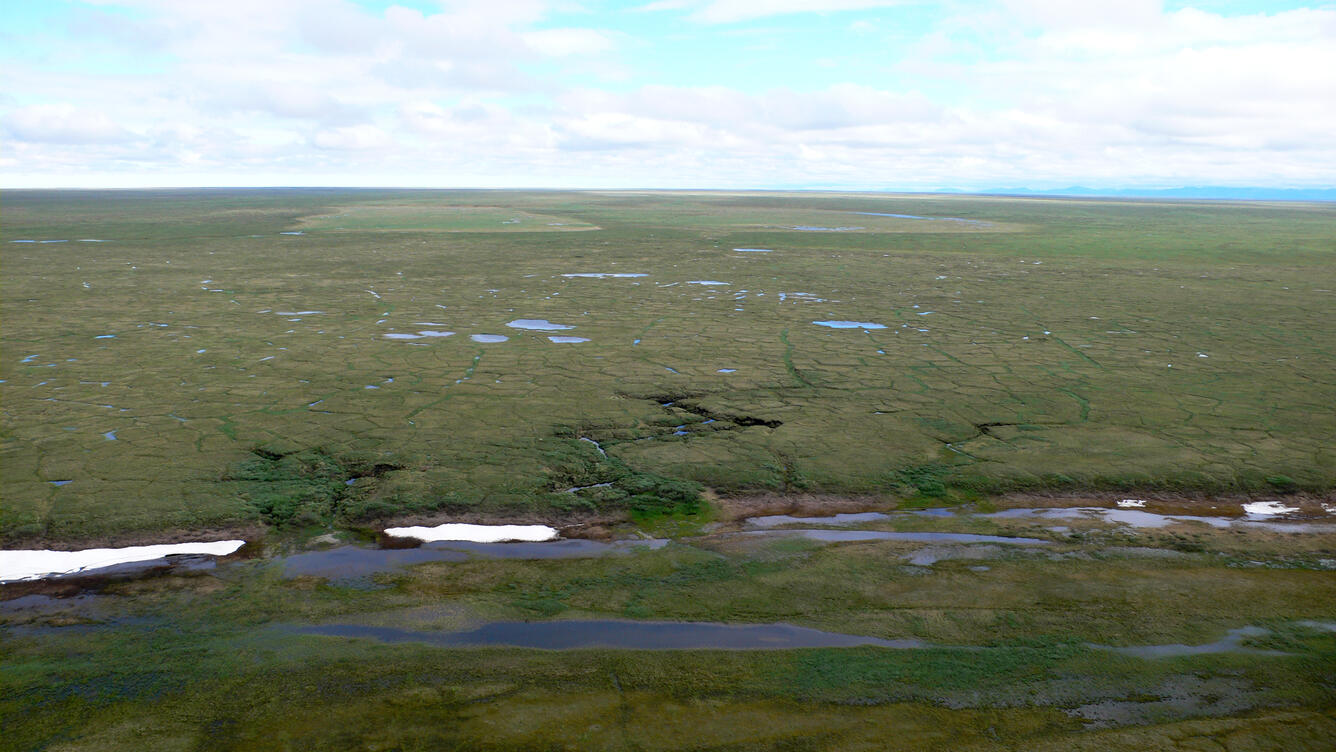 near the Jago River