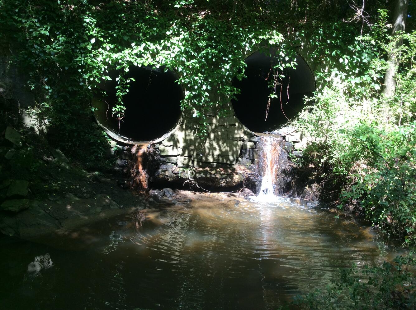 Water outflow pipes in SESQA survey area
