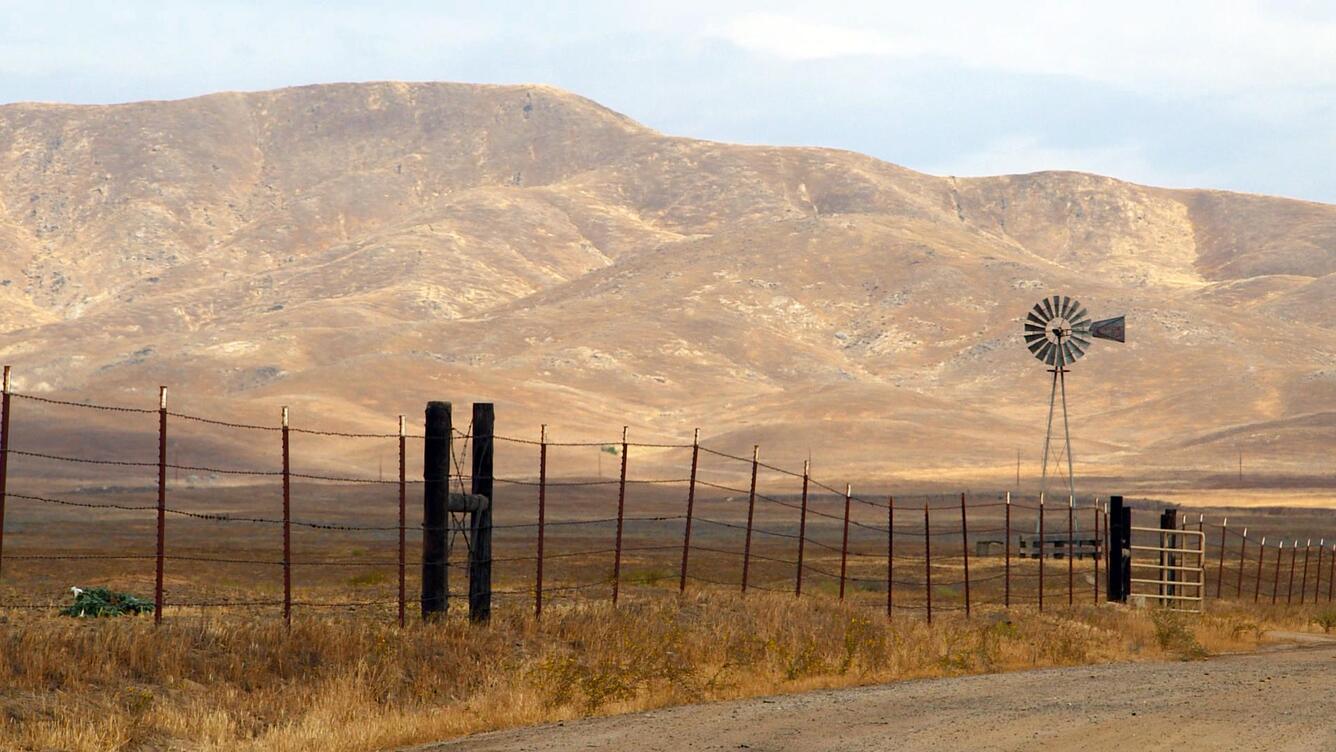 Drought damage on the Fresno Harlen Ranch, California