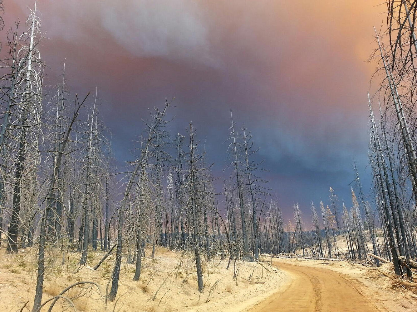 King Fire, Screwauger Ridge, October 2014