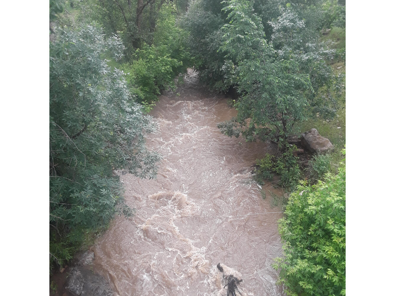 Whitewood Creek above Whitewood, SD (06436180)