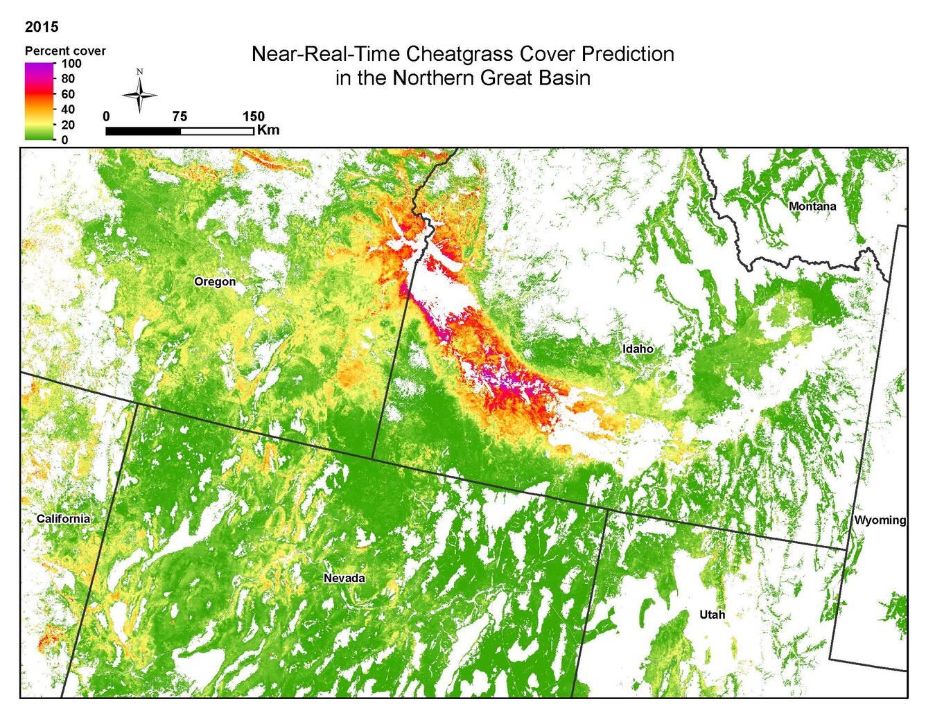 Image of near-real-time cheatgrass cover for portions of the Great Basin in the United States in 2015