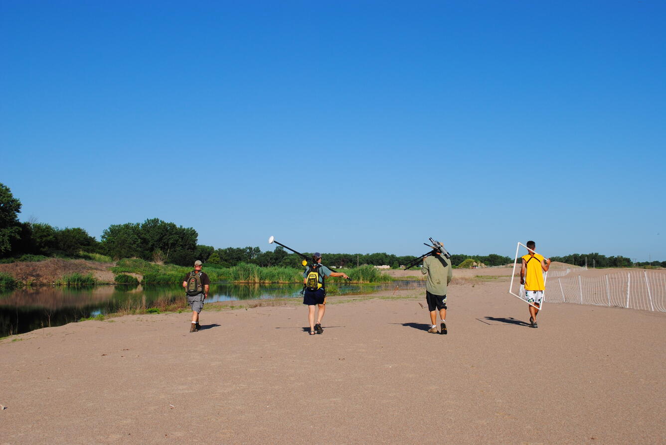 Photo of field crew members nest searching for piping plover and least tern nests. 