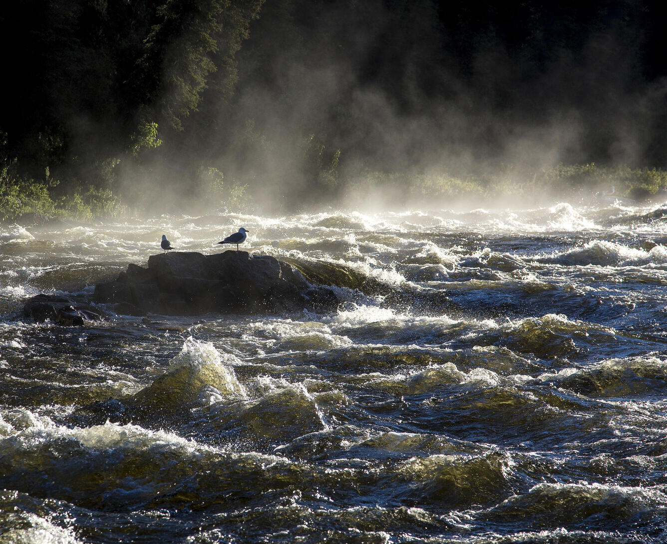 Gulkana River, Alaska