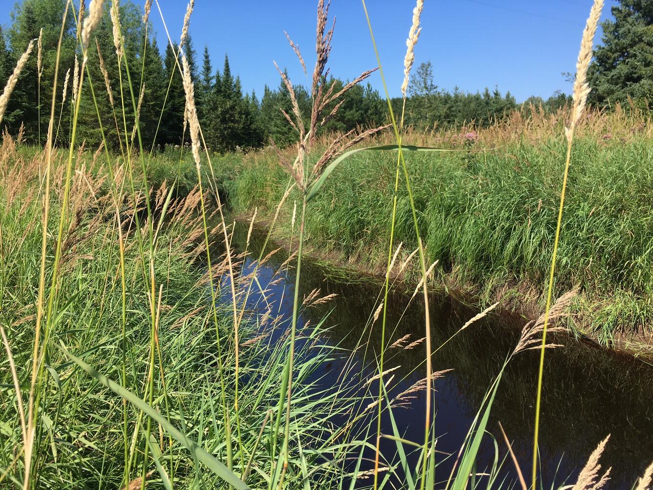 Sand Creek at Hwy 50 near Larva Rd DNSTR Measurement Loc Looking UPSTR