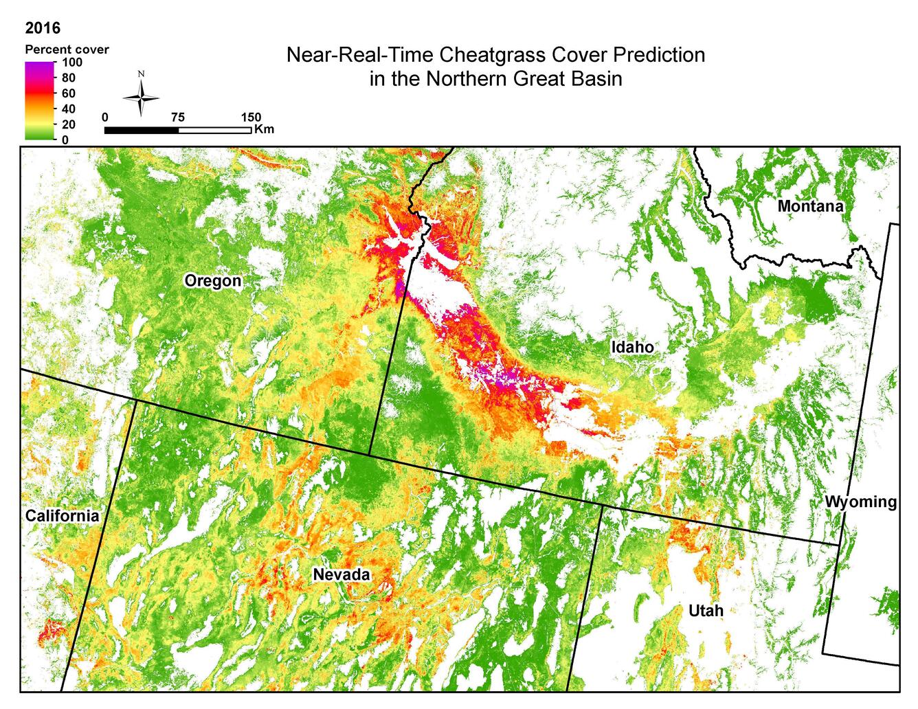 Image of near-real-time cheatgrass cover for portions of the Great Basin in the United States in 2016