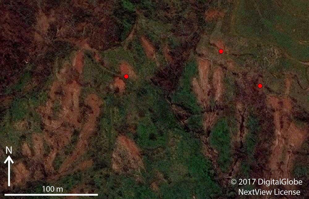 Excerpt of satellite image showing landslide impacts to roads in the Lares Municipality.