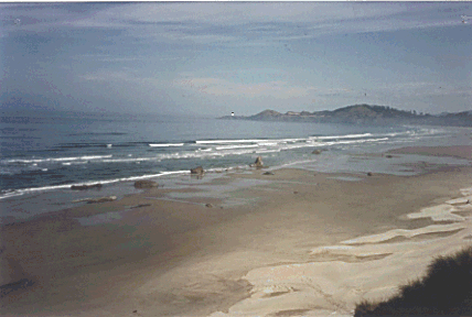 Vintage photograph of a beach with small, rocky formations jutting up out of the sand.