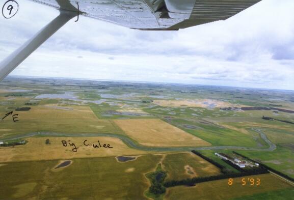 Devils Lake Basin 1993