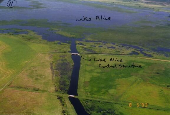 DLB Historical Aerial Photos