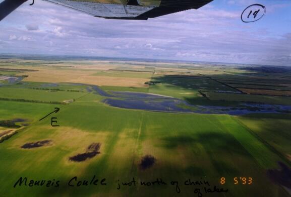 DLB Historical Aerial Photos