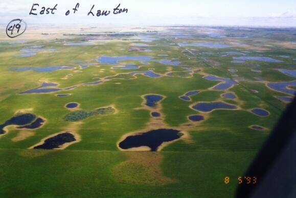 Devils Lake Basin 1993