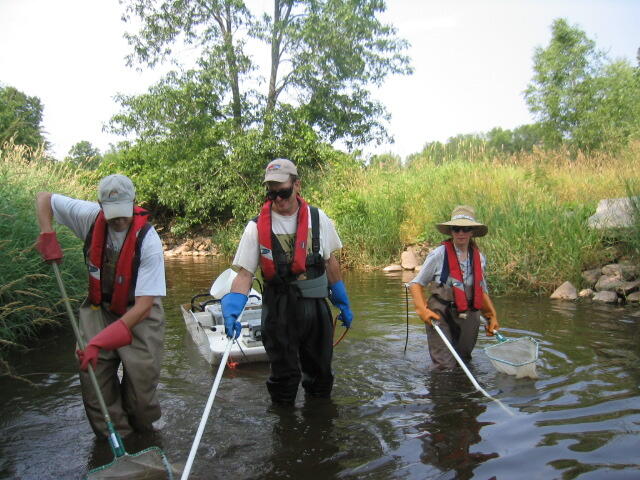 Fish sampling using barge shocker